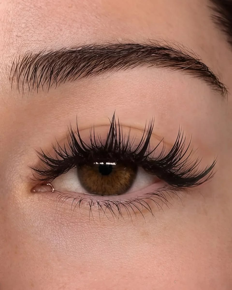 Close-up of an eye with long dark lash extensions beneath a full natural brow